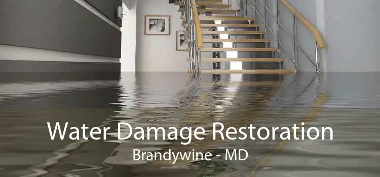 Water Damage Restoration Brandywine - MD