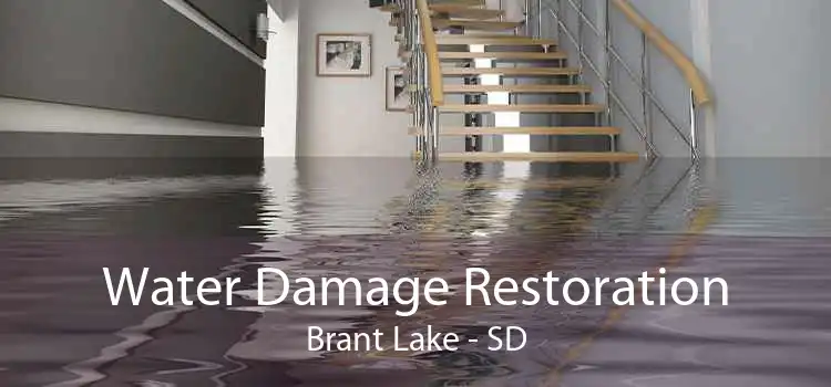 Water Damage Restoration Brant Lake - SD