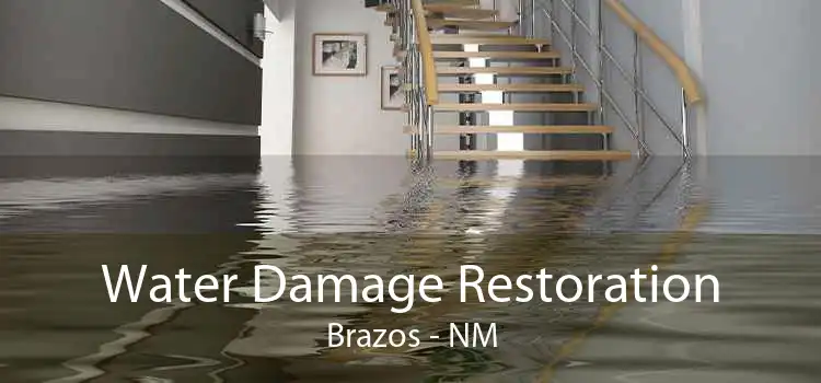 Water Damage Restoration Brazos - NM