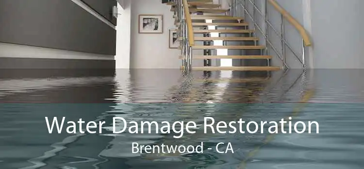 Water Damage Restoration Brentwood - CA