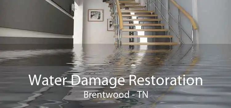 Water Damage Restoration Brentwood - TN