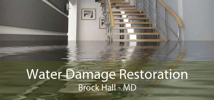Water Damage Restoration Brock Hall - MD