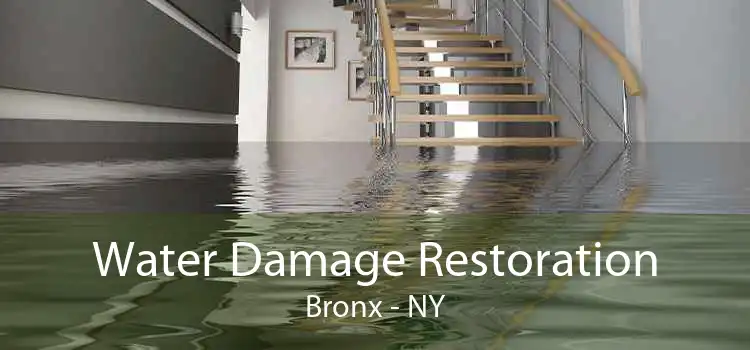 Water Damage Restoration Bronx - NY