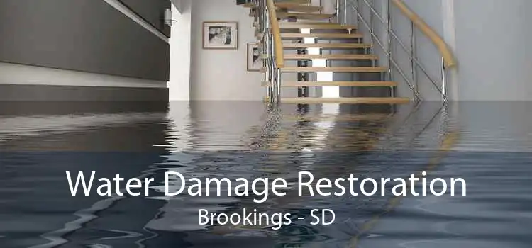 Water Damage Restoration Brookings - SD