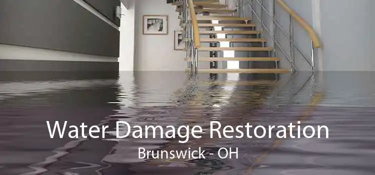 Water Damage Restoration Brunswick - OH