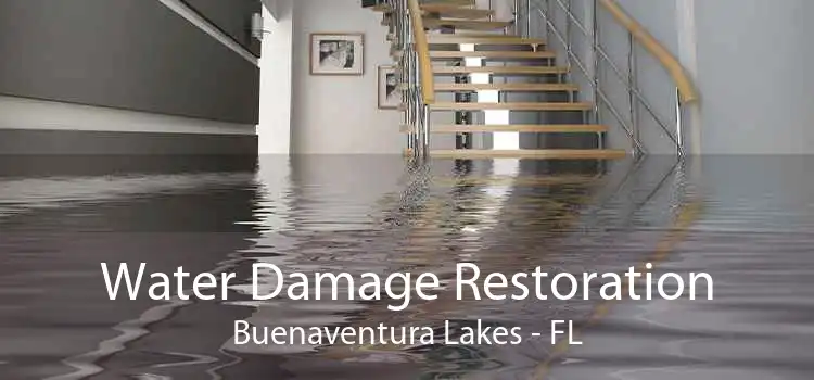 Water Damage Restoration Buenaventura Lakes - FL