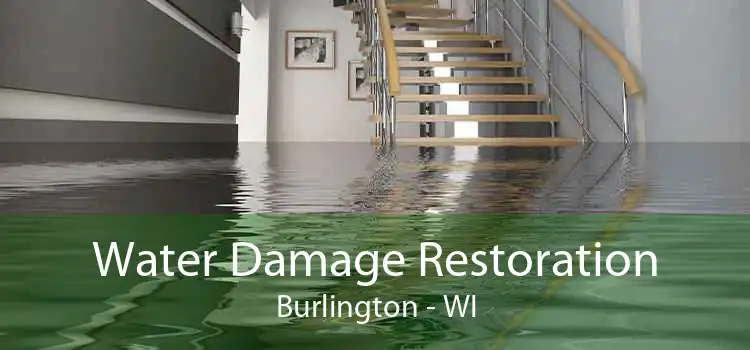 Water Damage Restoration Burlington - WI