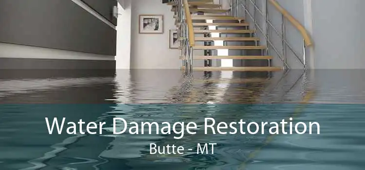 Water Damage Restoration Butte - MT