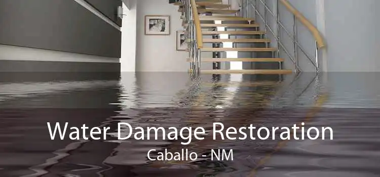 Water Damage Restoration Caballo - NM