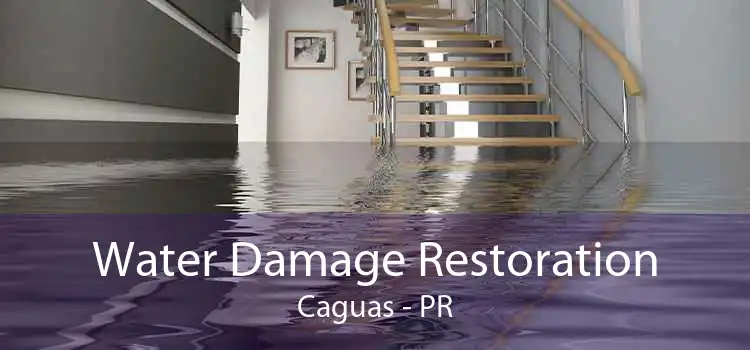 Water Damage Restoration Caguas - PR