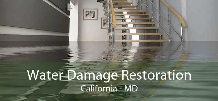 Water Damage Restoration California - MD
