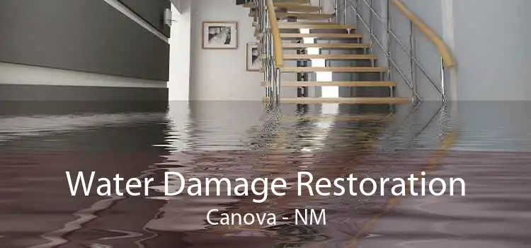Water Damage Restoration Canova - NM