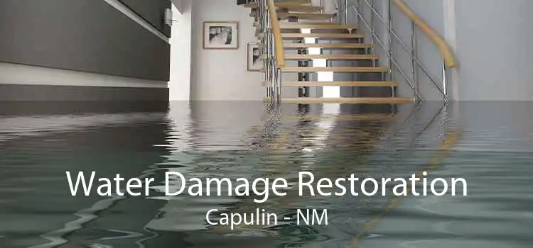 Water Damage Restoration Capulin - NM