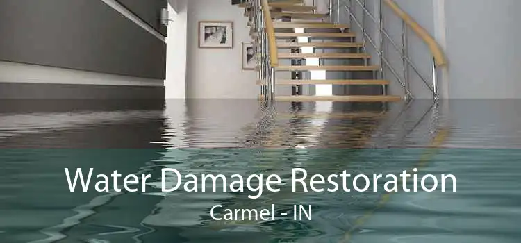 Water Damage Restoration Carmel - IN