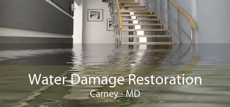 Water Damage Restoration Carney - MD