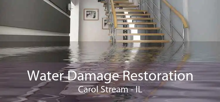Water Damage Restoration Carol Stream - IL