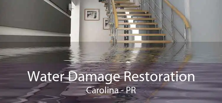 Water Damage Restoration Carolina - PR