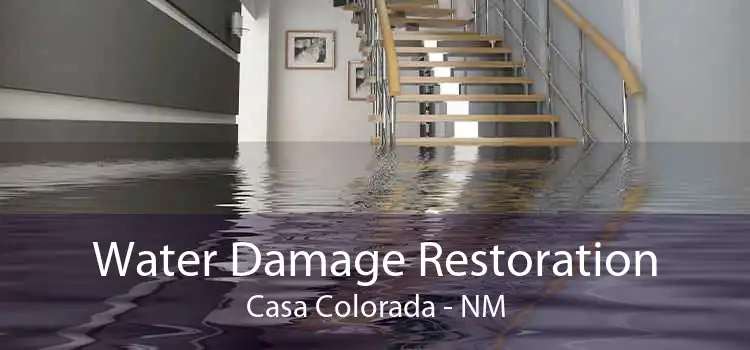 Water Damage Restoration Casa Colorada - NM