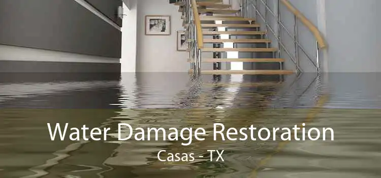 Water Damage Restoration Casas - TX