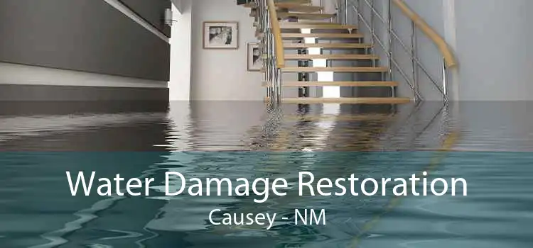 Water Damage Restoration Causey - NM