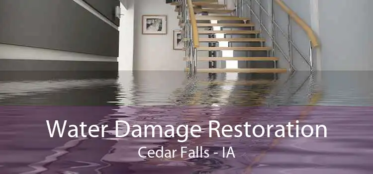 Water Damage Restoration Cedar Falls - IA