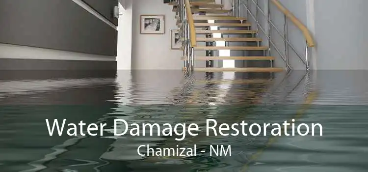 Water Damage Restoration Chamizal - NM