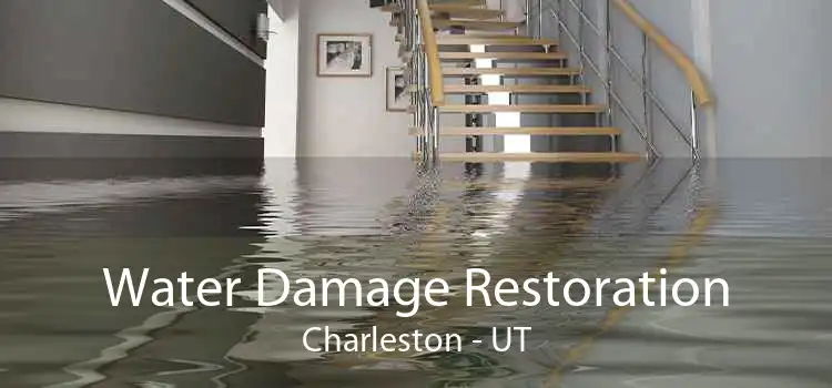 Water Damage Restoration Charleston - UT