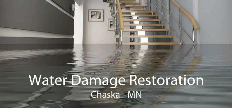 Water Damage Restoration Chaska - MN