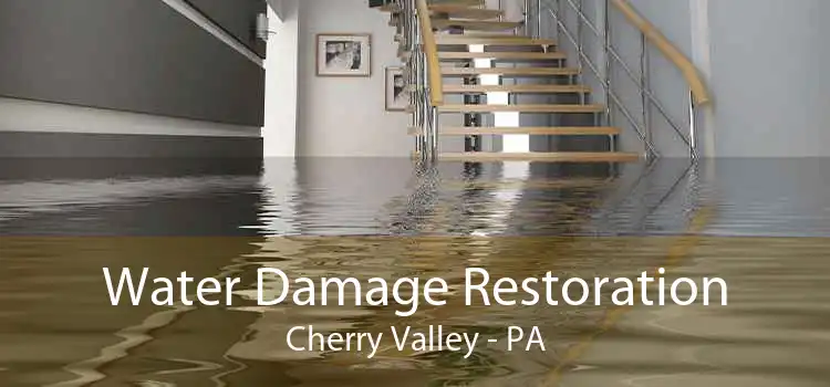 Water Damage Restoration Cherry Valley - PA