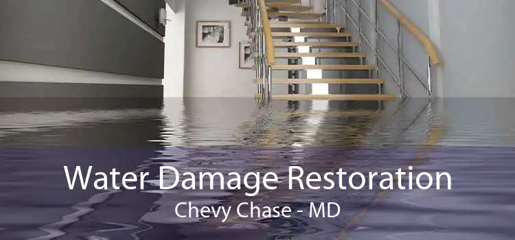 Water Damage Restoration Chevy Chase - MD
