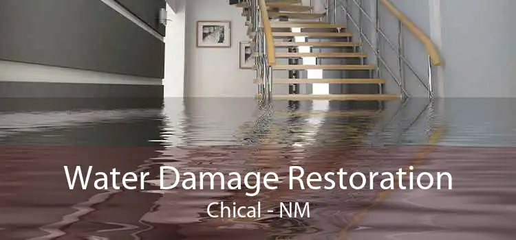Water Damage Restoration Chical - NM