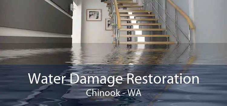 Water Damage Restoration Chinook - WA