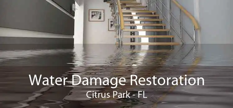Water Damage Restoration Citrus Park - FL