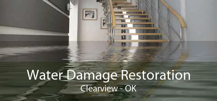 Water Damage Restoration Clearview - OK
