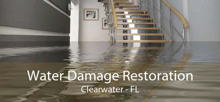 Water Damage Restoration Clearwater - FL