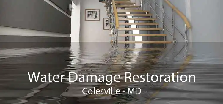 Water Damage Restoration Colesville - MD