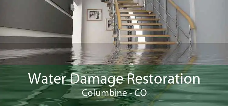 Water Damage Restoration Columbine - CO