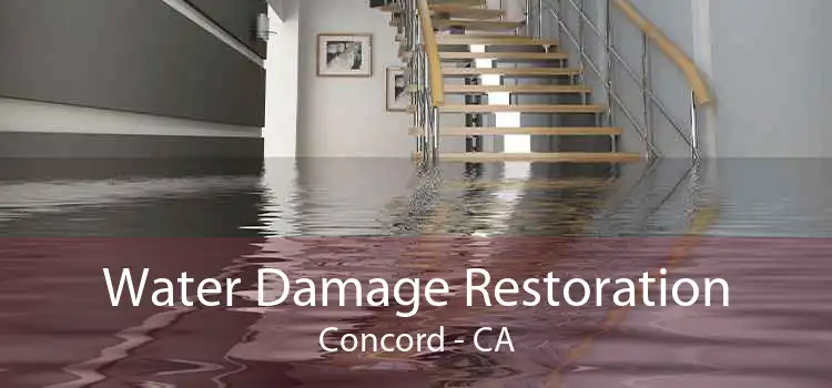 Water Damage Restoration Concord - CA