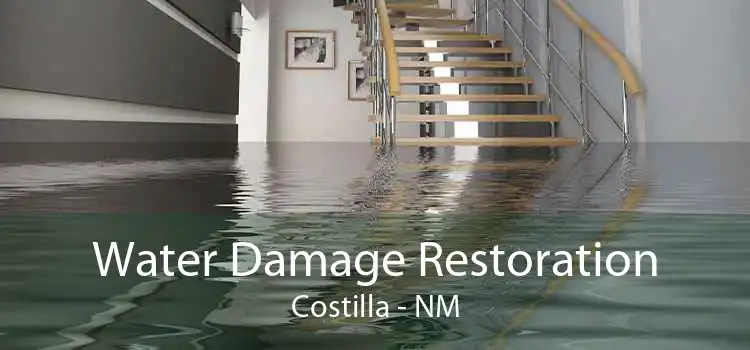 Water Damage Restoration Costilla - NM