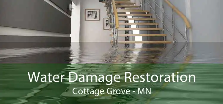 Water Damage Restoration Cottage Grove - MN