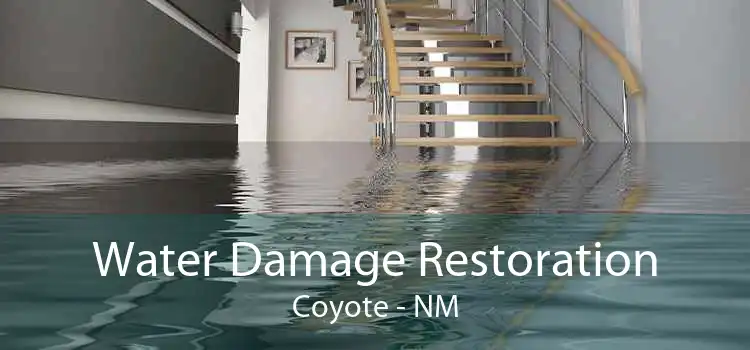 Water Damage Restoration Coyote - NM