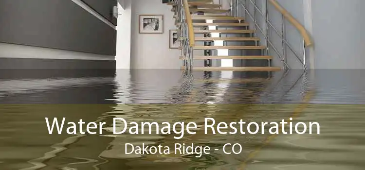 Water Damage Restoration Dakota Ridge - CO
