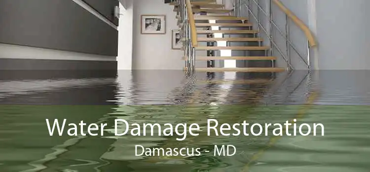 Water Damage Restoration Damascus - MD