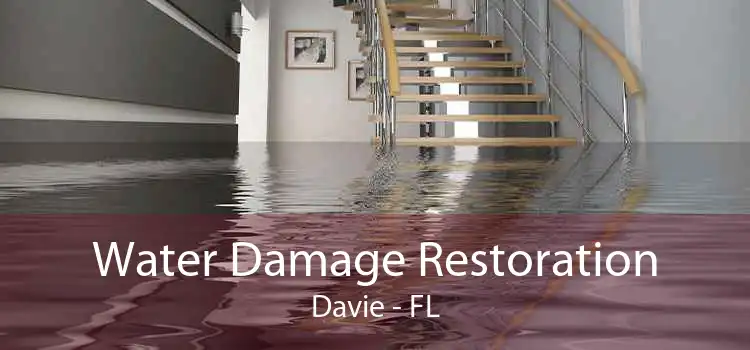 Water Damage Restoration Davie - FL