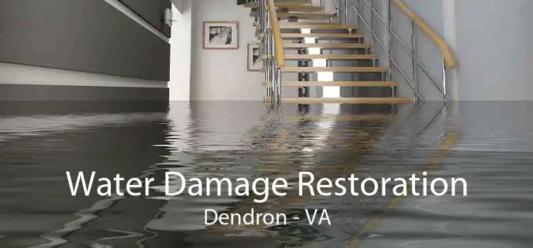 Water Damage Restoration Dendron - VA