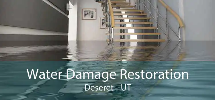 Water Damage Restoration Deseret - UT