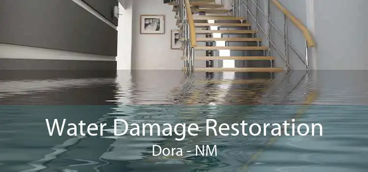 Water Damage Restoration Dora - NM