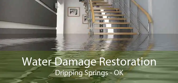 Water Damage Restoration Dripping Springs - OK