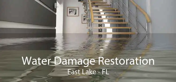 Water Damage Restoration East Lake - FL