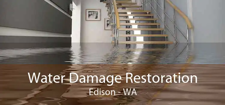 Water Damage Restoration Edison - WA